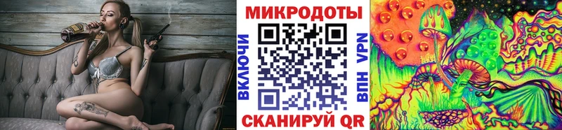 Купить закладки  Калач-на-Дону  Галлюциногенные грибы Psilocybe 